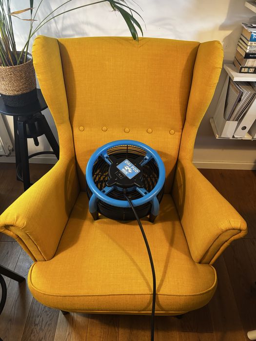 Pralnia tapicerki meblowej wykładzin i dywanów - Odbieramy Dowozimy !