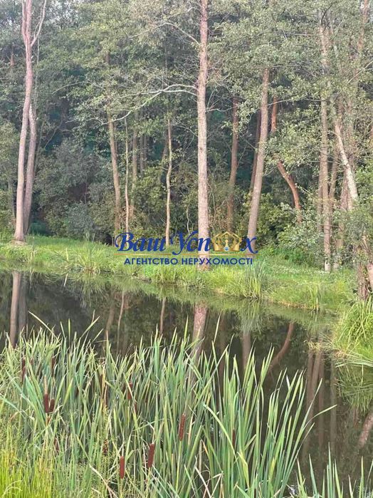 Продажа земли с озерами и домами. Пляхтянка Житомир.трасса.