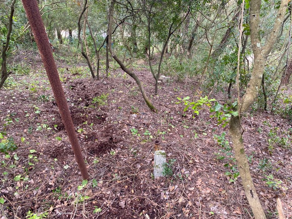 Exclusiva Ruína com Projeto de Reabilitação na Serra da Arrábida