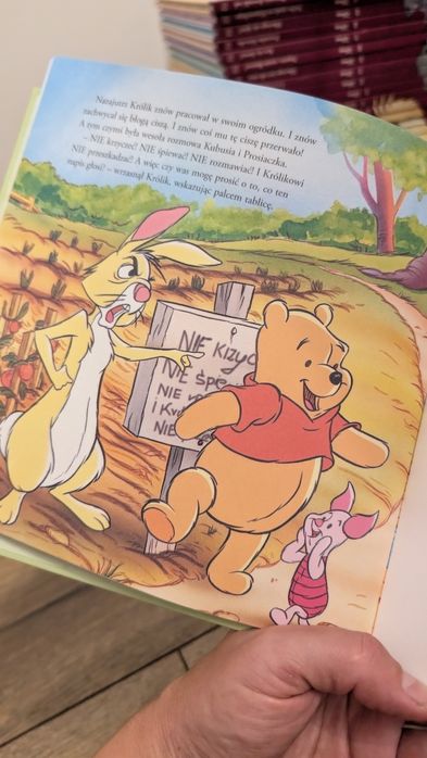 Kubuś i Przyjaciele seria książek Disney, Kubiś Puchatek