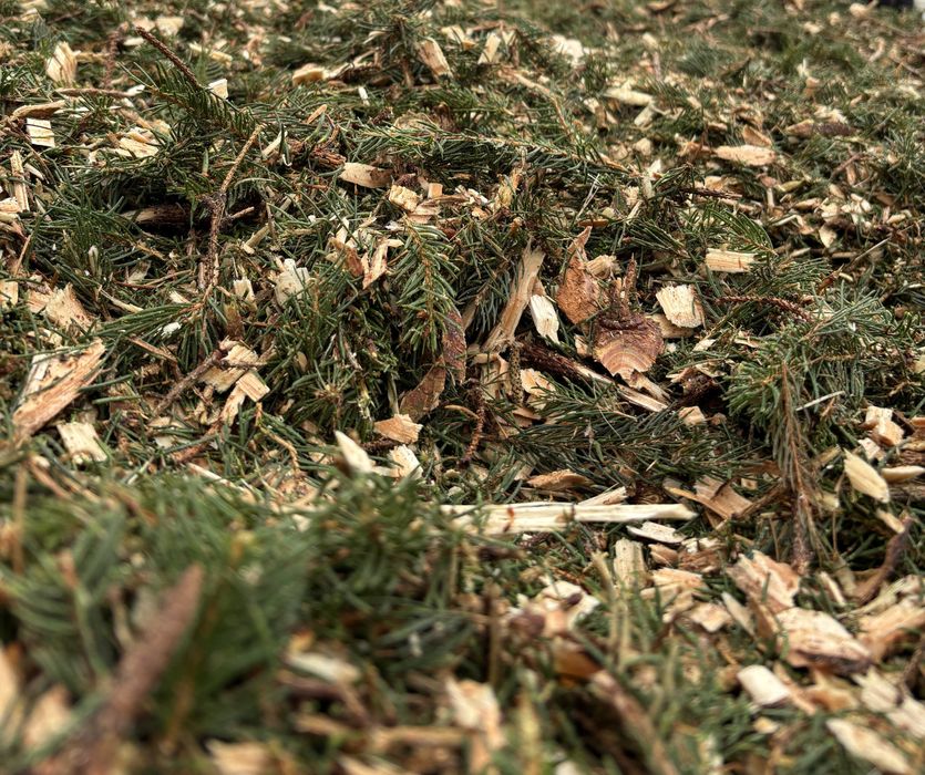 Zrębki zrąbki wióry trociny iglaste