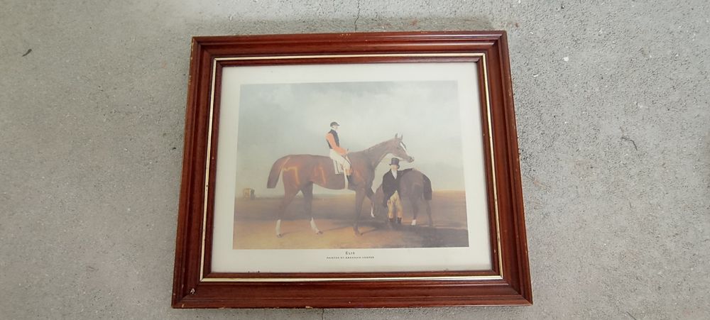 Quadro Cavalo Ellis