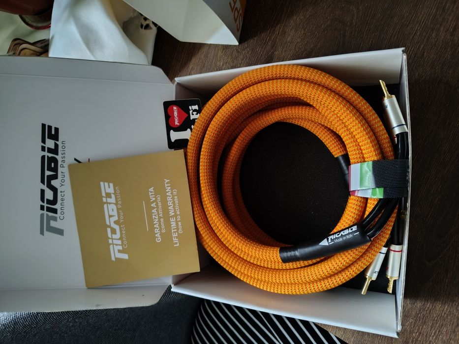Ricable Dedalus Speaker MK2