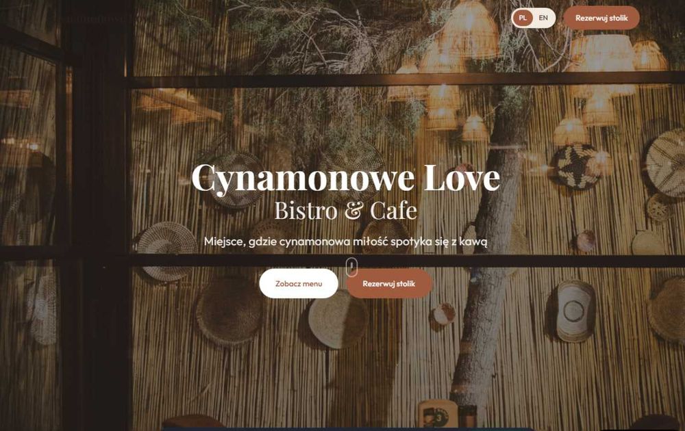 Logotypy + grafika + Strony internetowe tanio