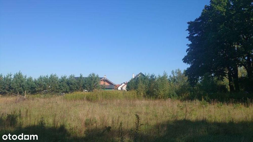 Działka, Piszkawa - Więcej