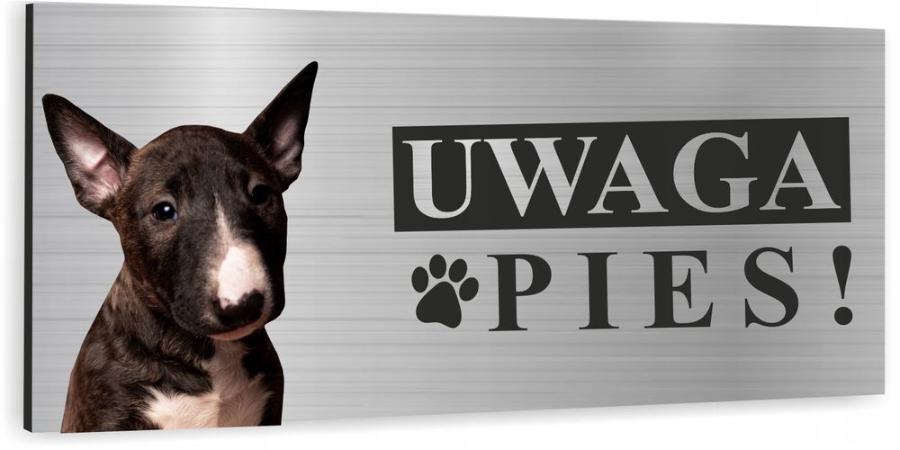 tabliczka uwaga zły pies - bulterier aluminiowa