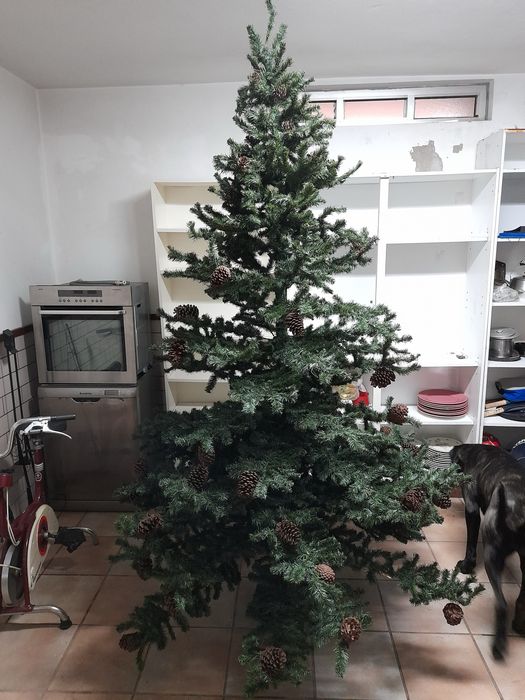 Arvore de natal sitetico com pinhas naturais 2 metros