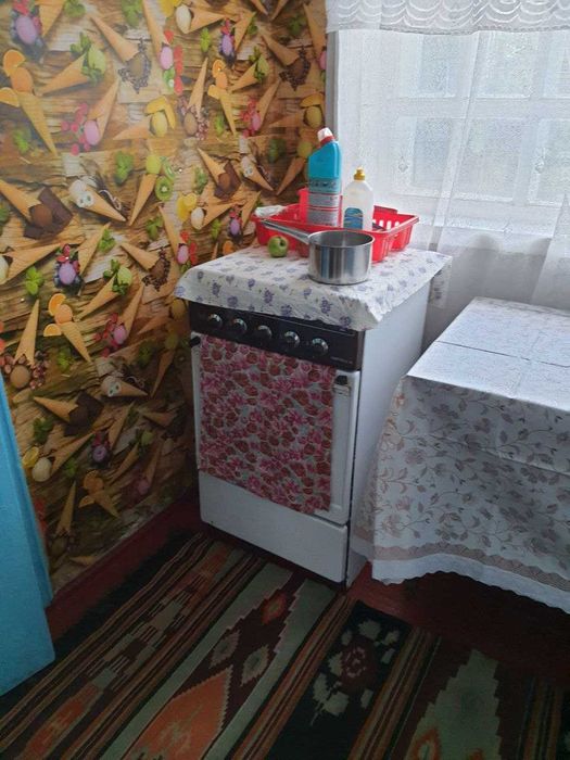 Продам будинок біля озера із земельною ділянкою (центр)