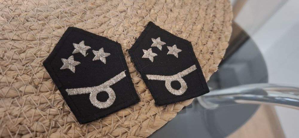 Dystynkcja naczelnik osp