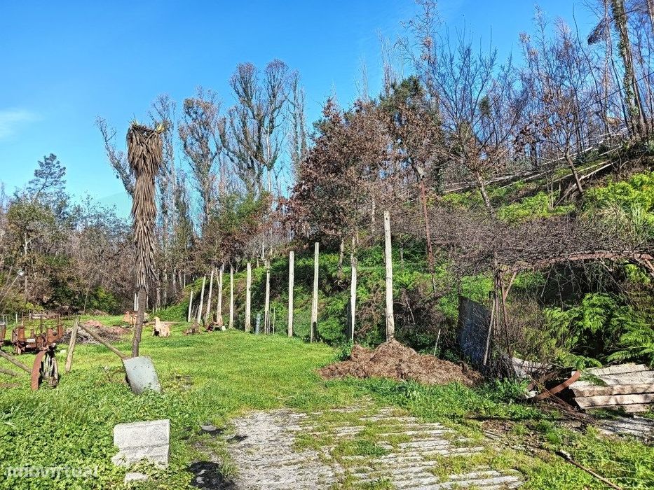 Terreno / Quinta para construção de moradia - Angeja