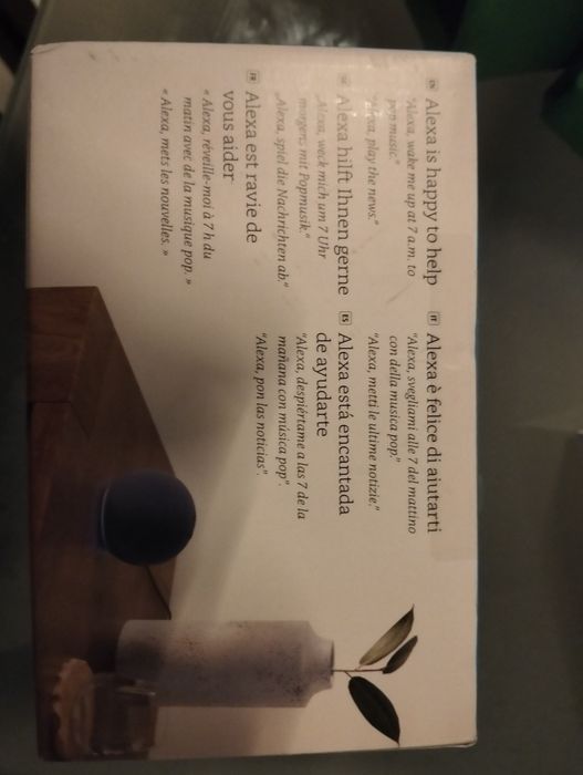 Smart speaker + Alexa