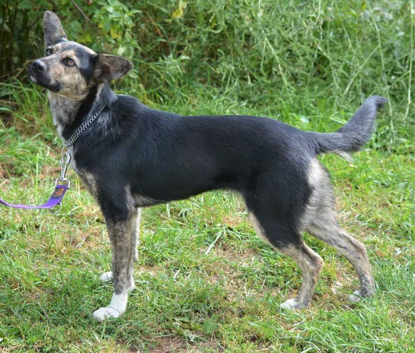 Żabcia - czas na dom!