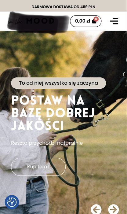 Na sprzedaż profesjonalna marka e-commerce wraz z gotowym sklepem internetowym