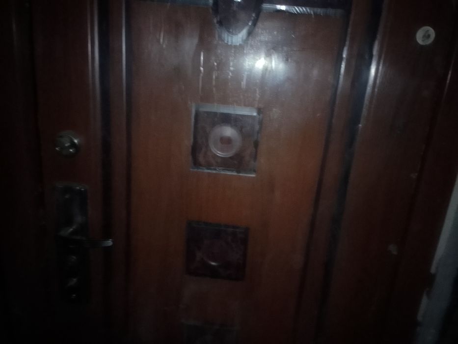 Дверь входная, металлическая.