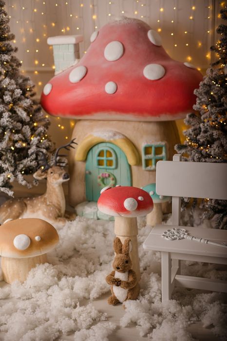 Cenário Fotográfico Natal