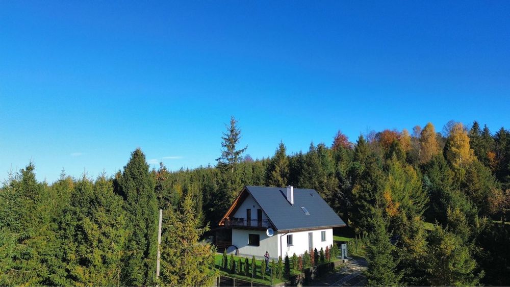 Domek „FOREST” 12 osób  Sauna | Jacuzzi | Balia |