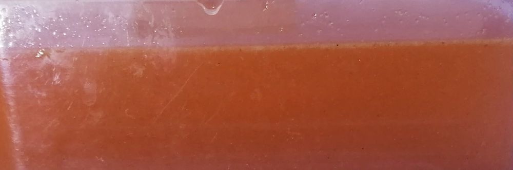 Artemia Mokra Do Wylęgu Jaja