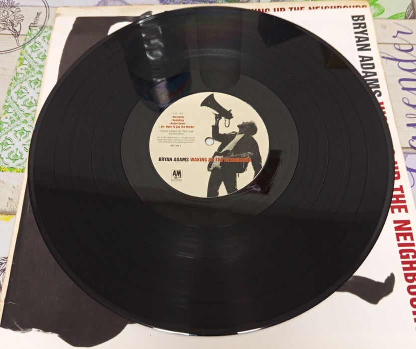 Discos de vinil Bryan Adams