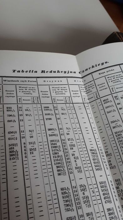 reprint  starożytności polskie t  I/II   rarytas