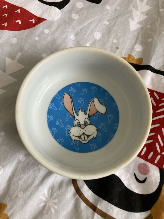 Miseczka ceramiczna dla królika,świnki morskiej