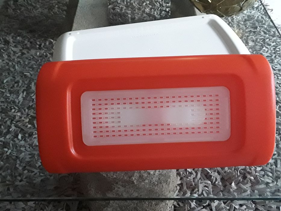 New Tupperware Bread Box434038880778987525