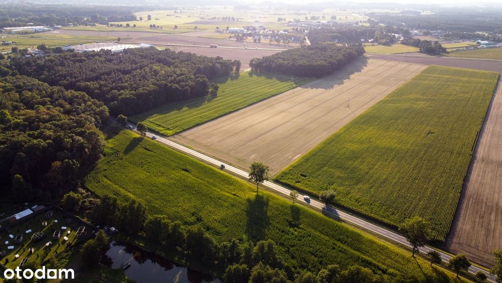 Działki budowlane Zbrudzewo k/Śremu