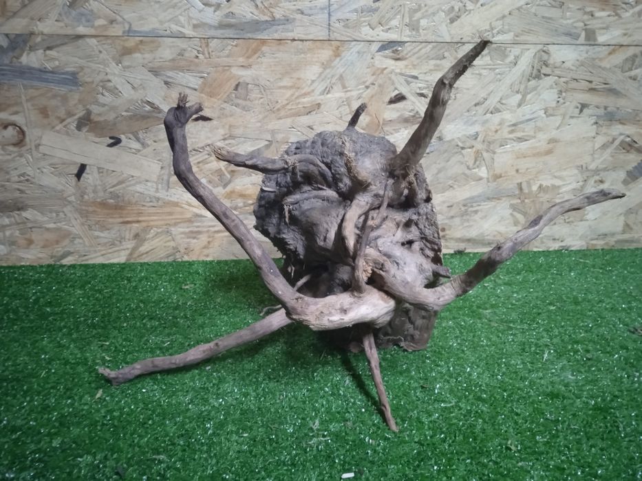 Korzeń do akwarium Red Moore Wood nr 695 o wymiarach 36/20/26