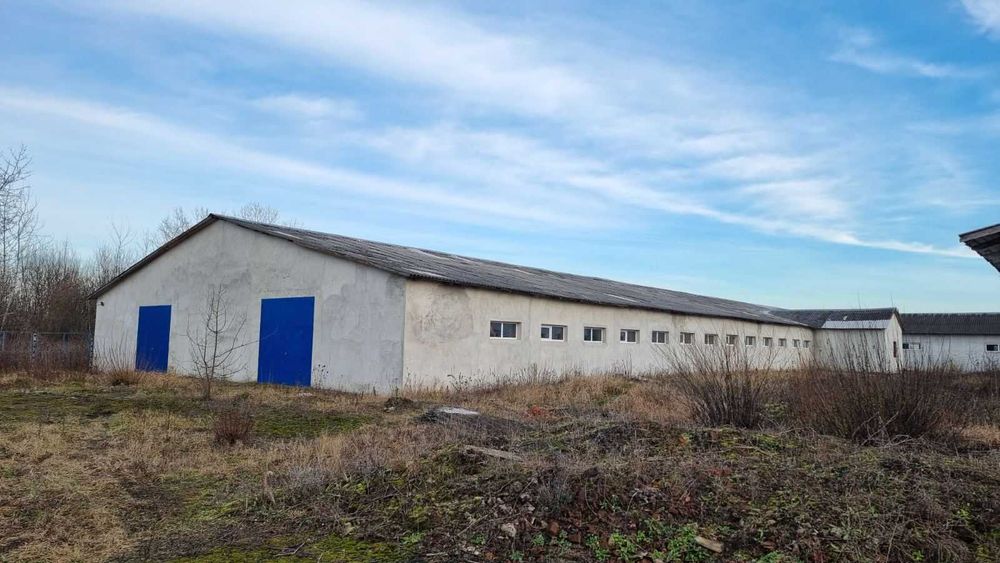 Оренда склад 1836 + 620 кв.м   с.Вікторів