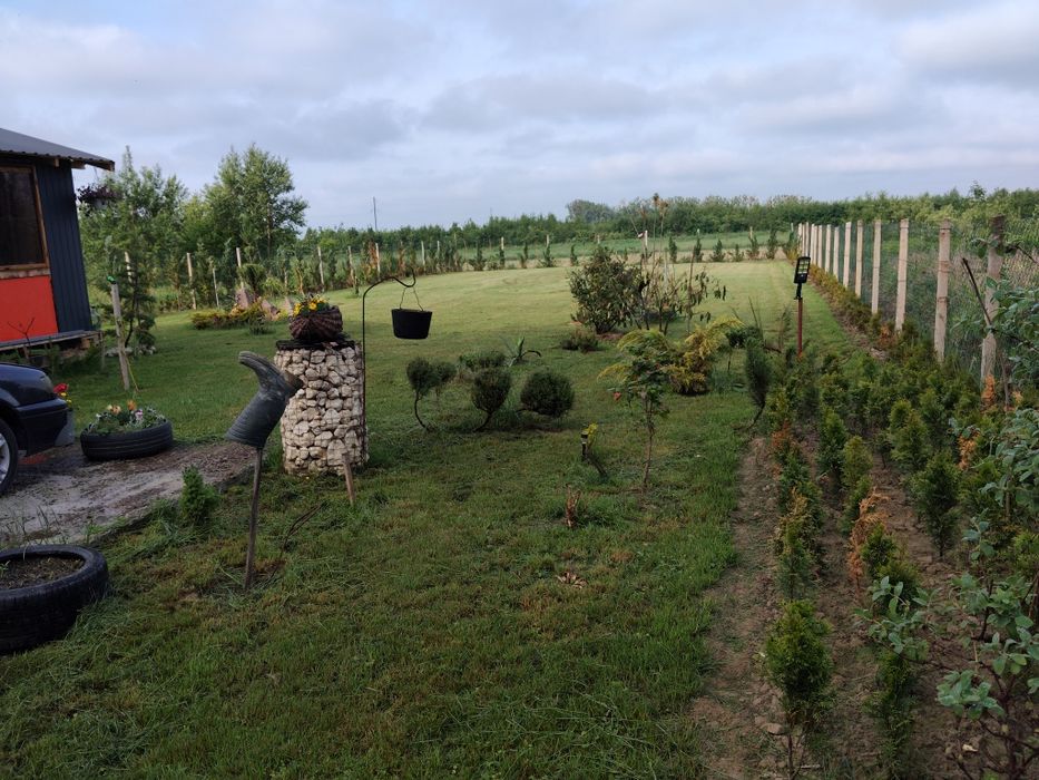 Продам ділянку під лісом