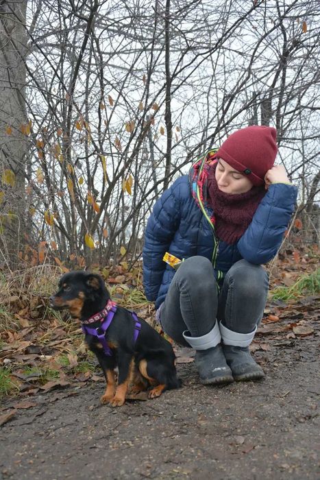 Wróżka - Zębuszka: magiczna psia dziewczynka szuka domku!