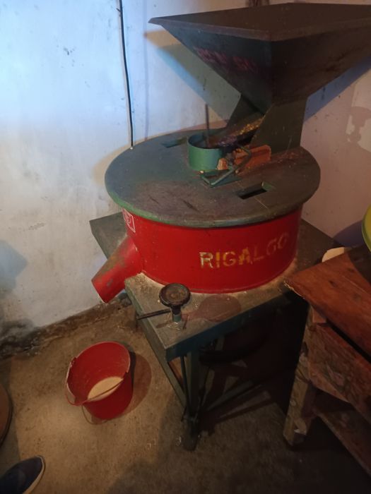 Moinho Elétrico Rigalgo para Cereais - Operacional