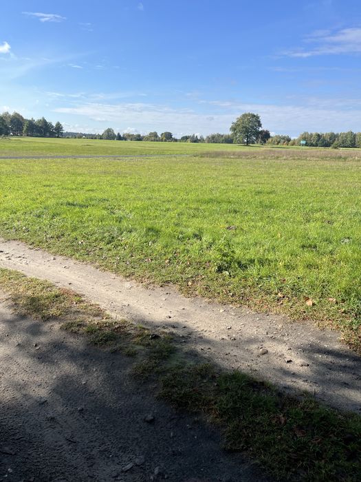 Sprzedam nieruchomość stanowiącą niezabudowaną działkę gruntu - Widok 5