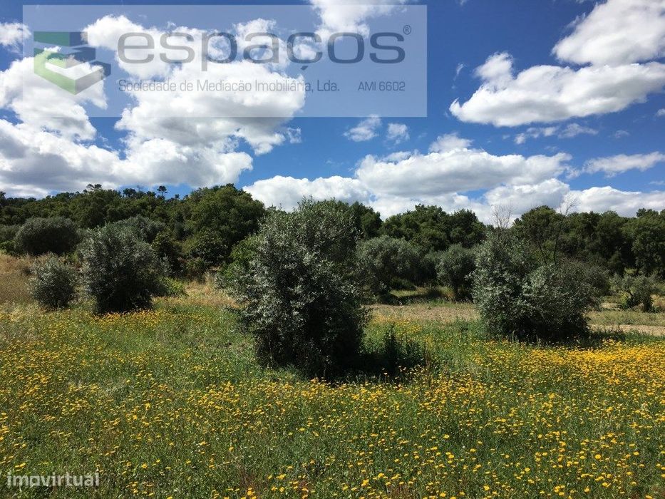 Quintinha para venda no Fundão