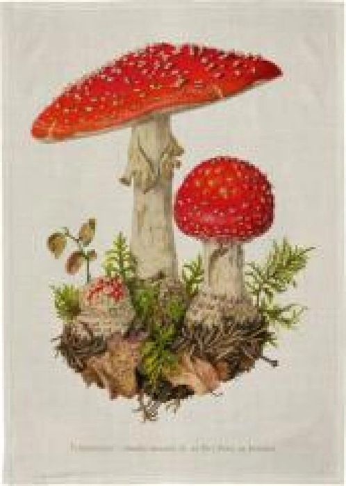 Ręcznik kuchenny - Muchomor oprawa: folia