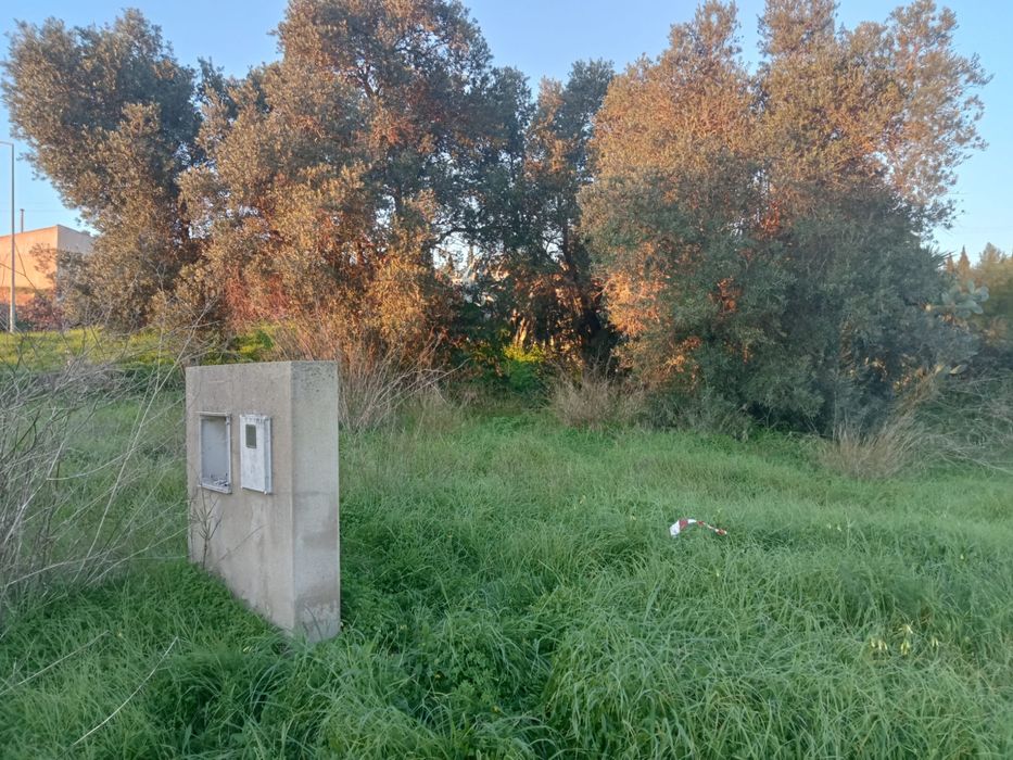 Limpeza de terrenos e corte de arvores e entre outras