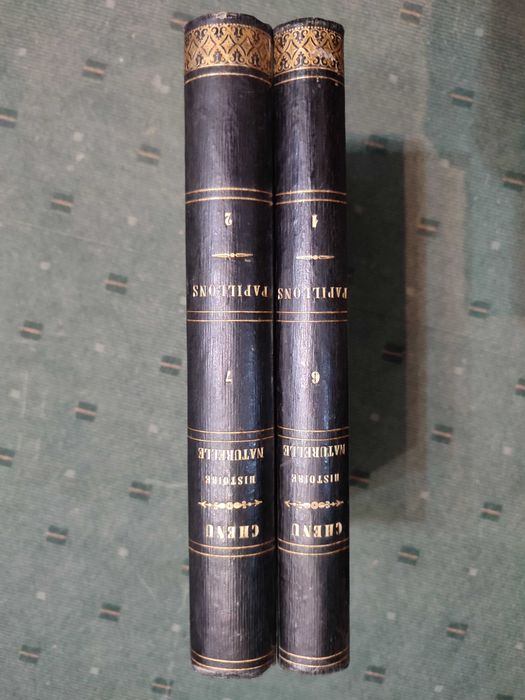 Encyclopédie D'Histoire Naturelle Traité Complet -Papillons - 2 Vol