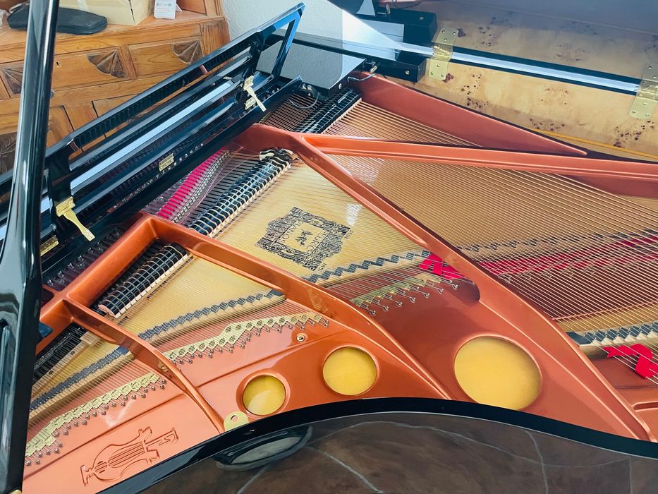 Piano de cauda Feurich Dynamic II