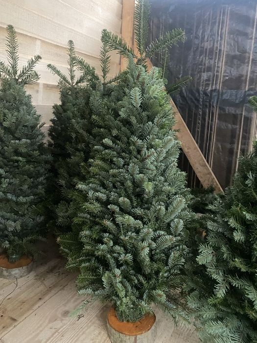 Плетена ялинка ручної роботи...