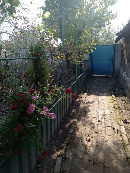 Продам будинок в селі Серединка Чернігівського району