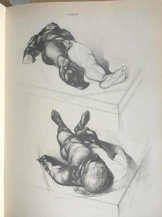 Анатомия для художников / Йене Барчаи, третье издание, 1959 год