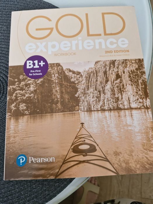 Gold experience workbook B1+