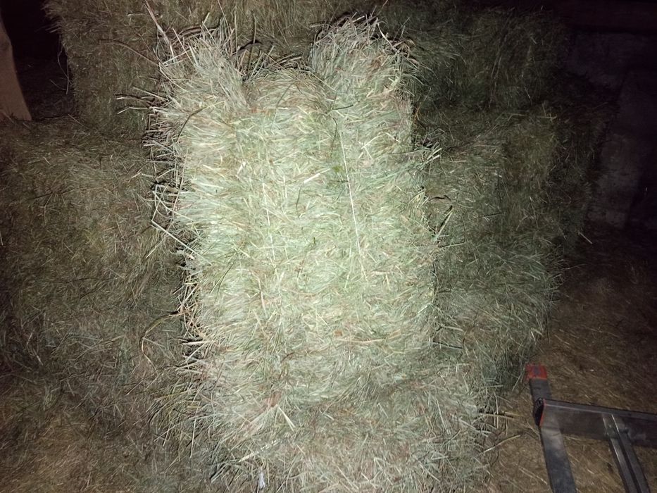 Siano w kostkę transport