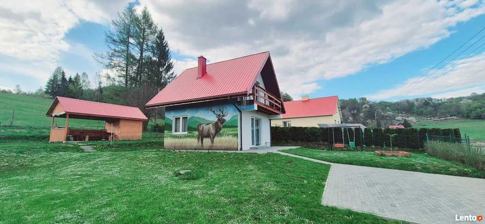 Domek Na Hawajach - Bieszczady