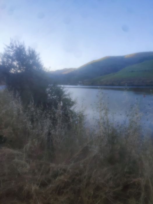 Terreno rústico em Moncorvo