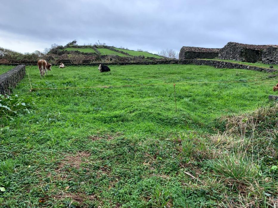 Vende-se casa na Ponta da Fajã (ilha das Flores)