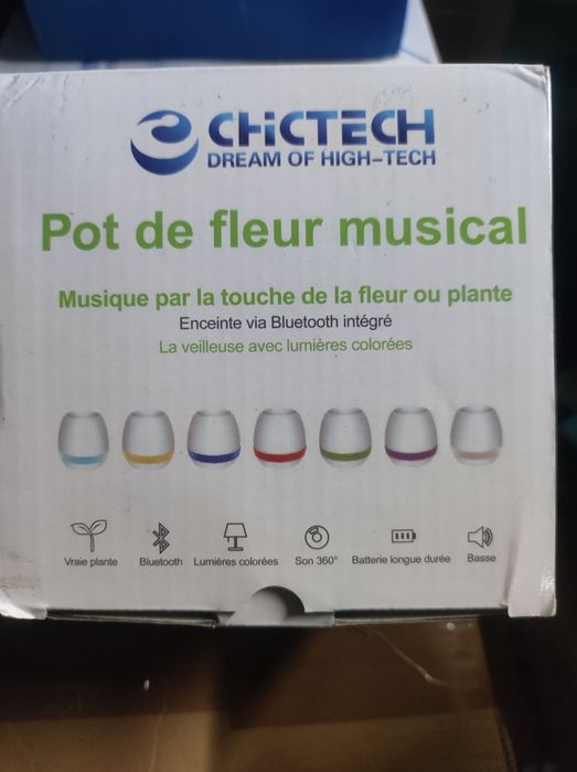 Vaso para flores musical com iluminação led