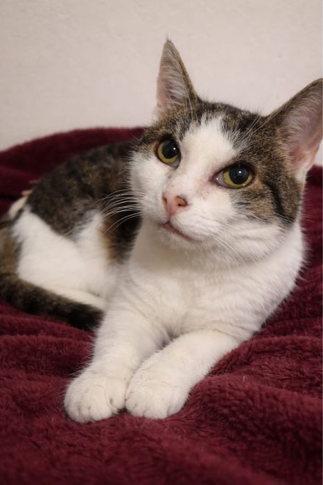 Grace - singielka kochająca człowieka szuka rodziny