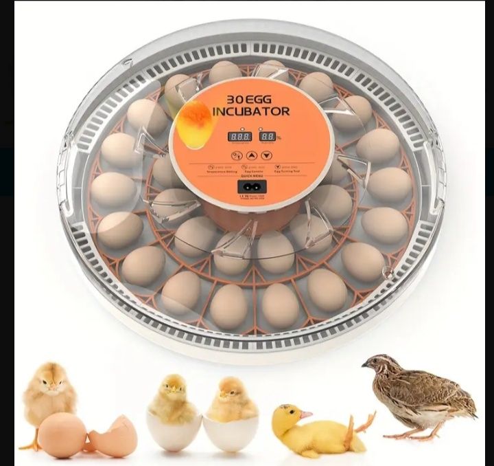 Інкубатор автоматичний