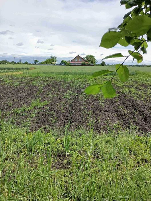 продаж приватизованоі ділянки