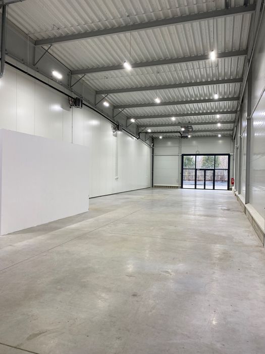 Lokal Handlowo-Usługowy PARTER Witryny i Brama